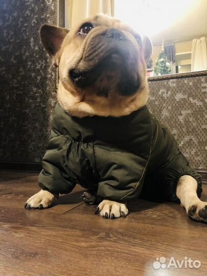 Утеплённый комбинезон