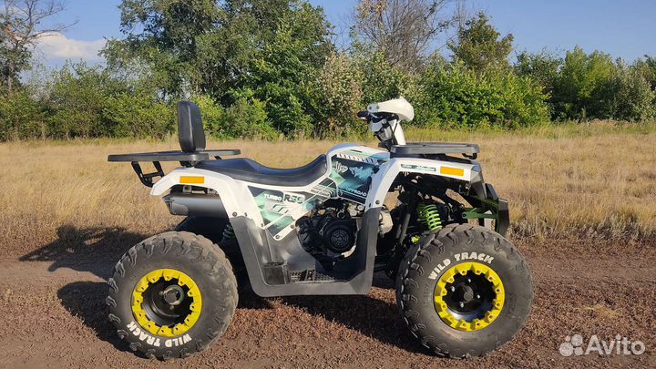 Квадроцикл Motoland Wild Track Lux 200