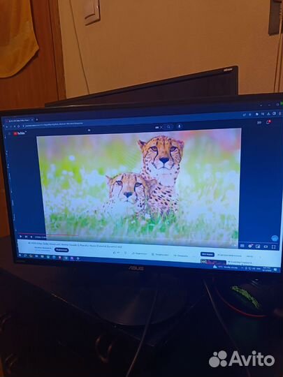 Монитор asus 75hz 1920x1080