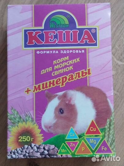 Корм для морских свинок