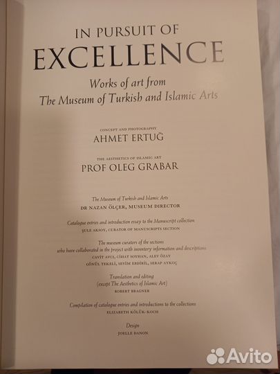 IN pursuit OF excellence (ahmet ertug)