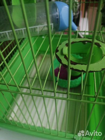 Клетка для грызунов