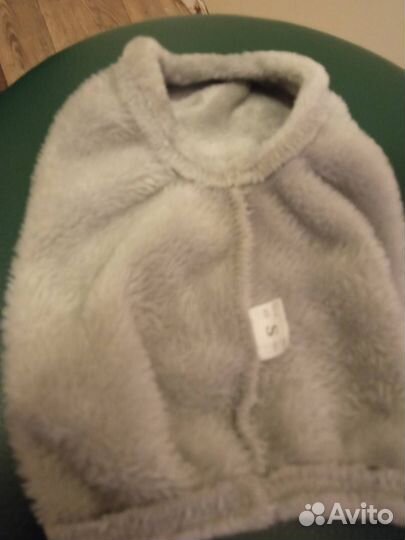 Домашние животные собаки