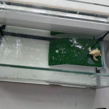 Аквариум для рыбок или черепахи
