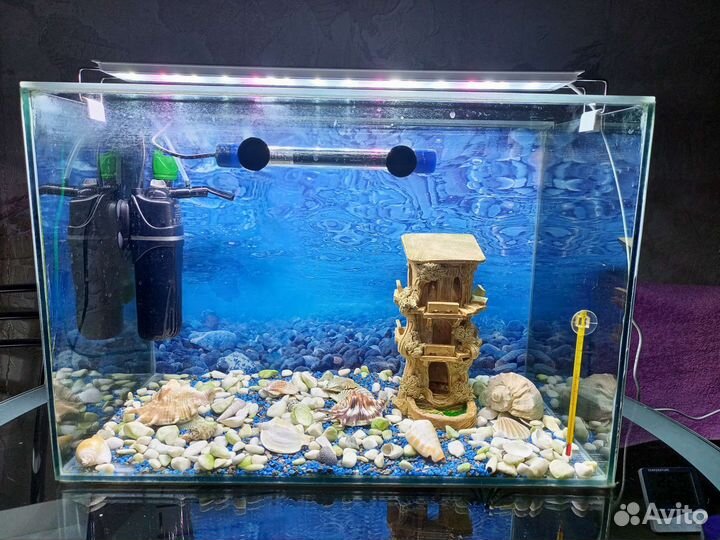 Аквариум на 60л полный комплект (под ключ)