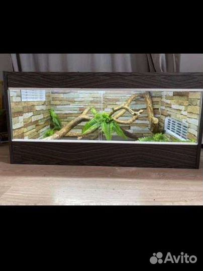 Террариум для рептилий