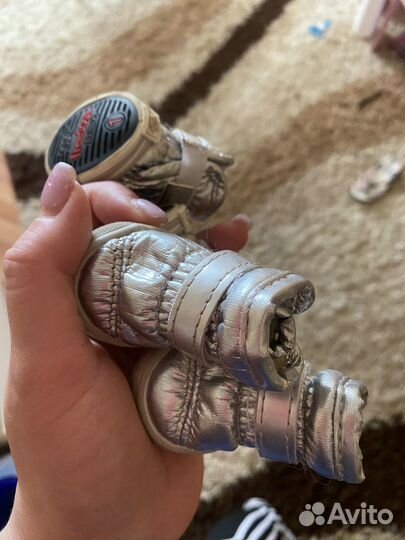 Обувь для собак