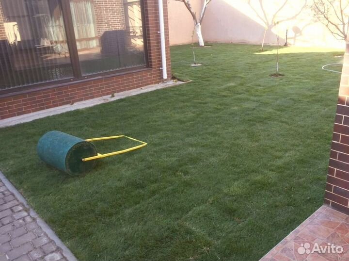 Рулонный газон
