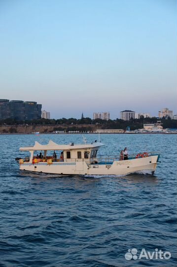 Морские Прогулки + Экскурсии + Джиппинг + Дайвинг