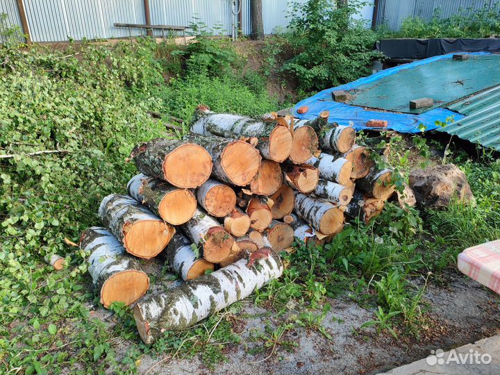 Дрова березовые не колотые