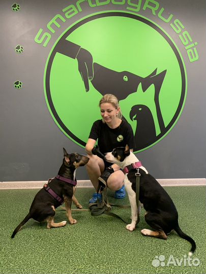 Зоопсихолог/собаки,кошки,экзотические виды