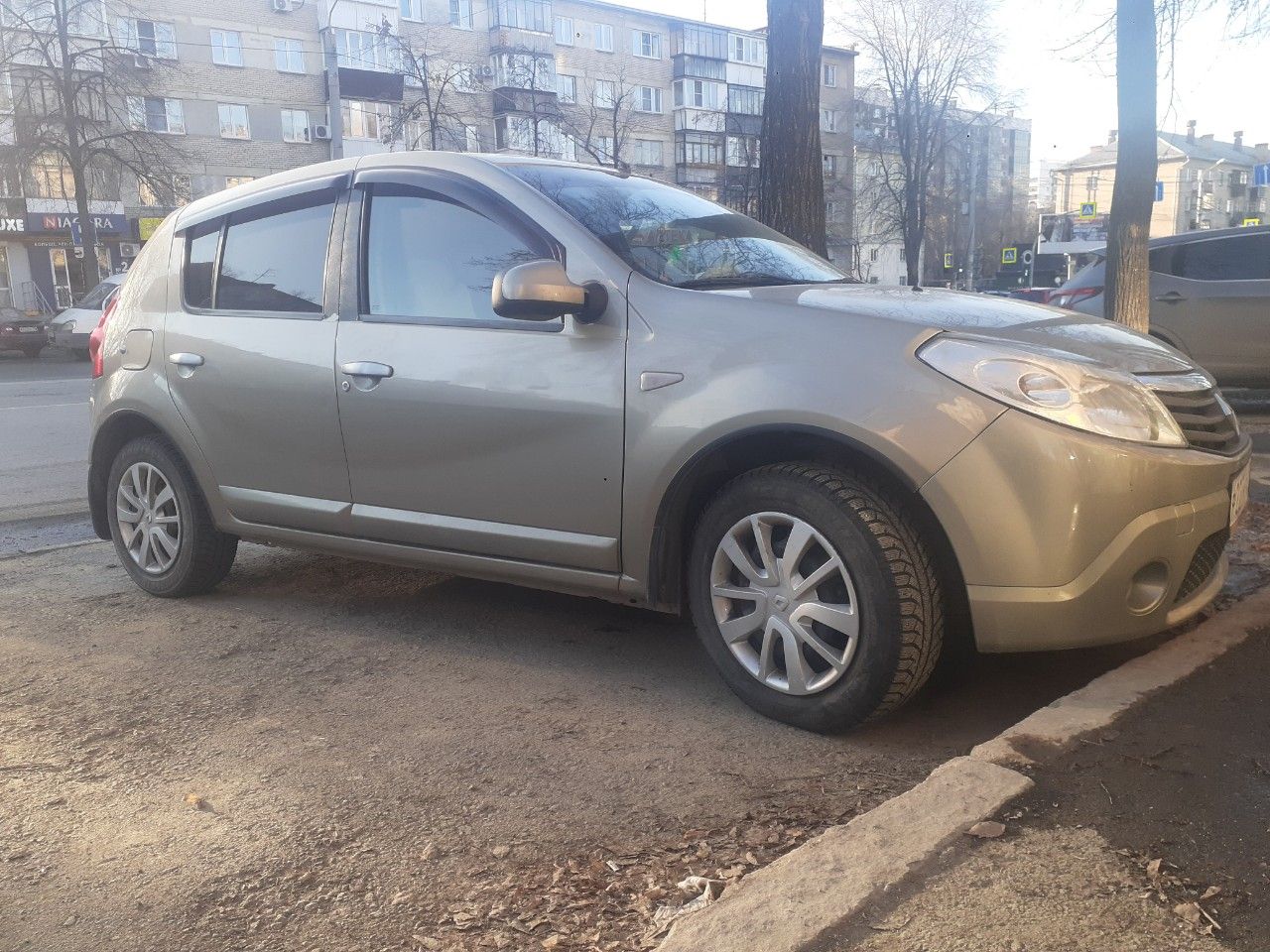 Renault Sandero: фото владельца