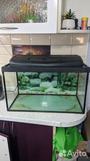 Аквариум полный комплект