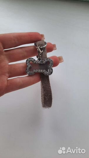 Ошейник для собак