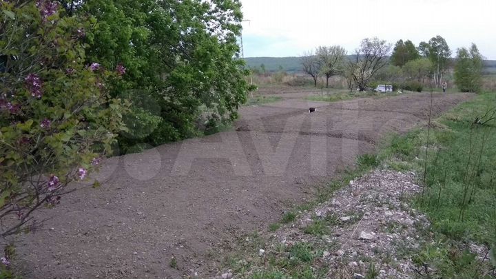 Участок 9 сот. (СНТ, ДНП)