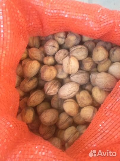 Грецкий орех
