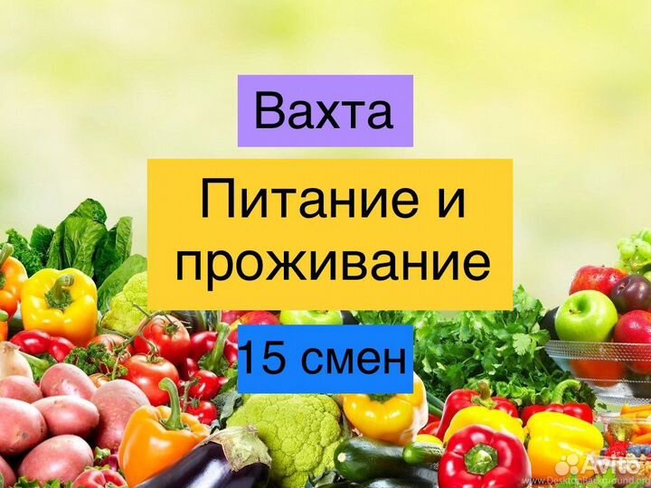 Упаковщики/Вахта/Проживание-Питание