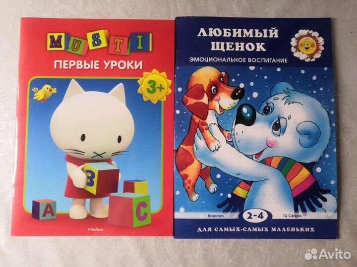 Развивающие пособия пакетом