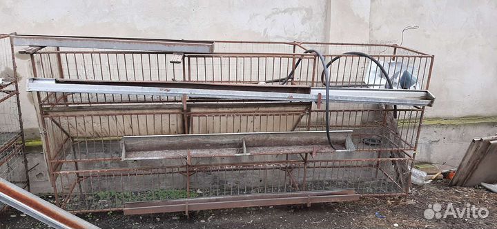 Клетка для курей