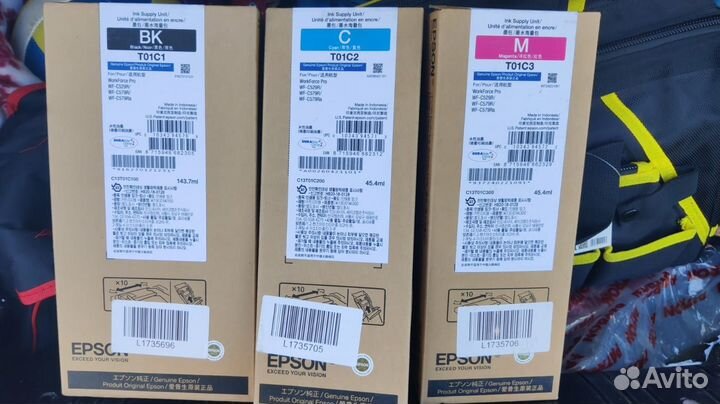 Epson C529R/C579R C13T01C100