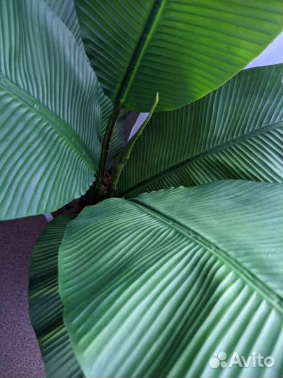 Искусственные тропические растения цветы деревья