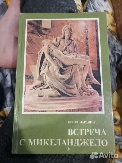 Встреча с микеланджело