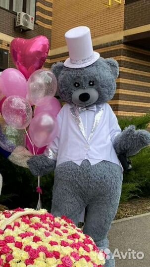 Ростовая кукла Мишка Тедди,поздравления