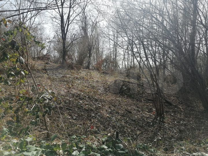 Участок 5 сот. (СНТ, ДНП)