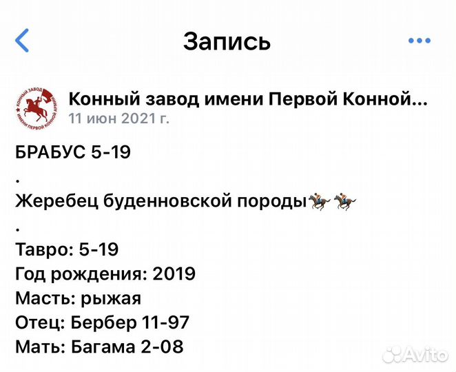 Буденновская лошадь