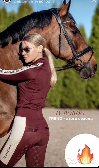 Бриджи,лонгслив для конного спорта