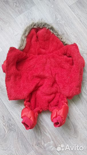 Одежда для собак