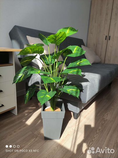 Искусственное растение,диффенбахия искусственная