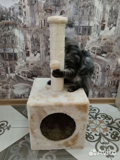 Домик для кошки с когтеточкой