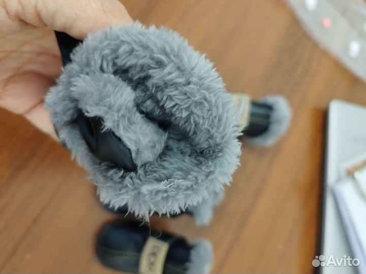 Ботинки для собак