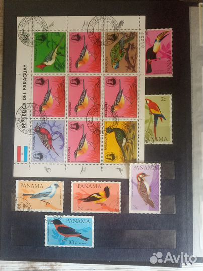 Альбом с марками (птицы)