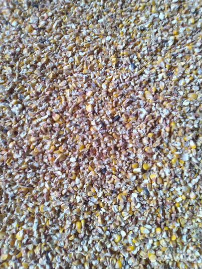 Кукуруза дроблёная (колотая)