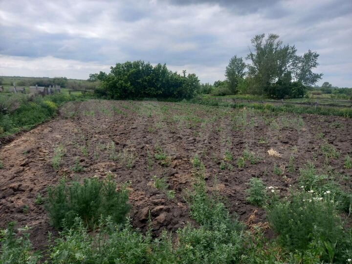 Дом 40 м² на участке 18 сот.