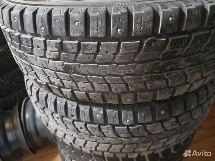 Dunlop Winter Maxx 175/70 R14