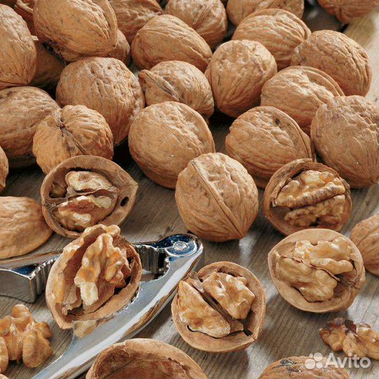 Грецкий орех