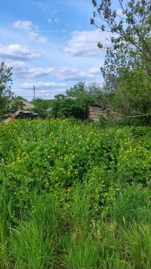 Участок 29 сот. (ИЖС)