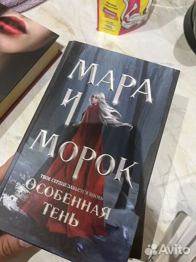 Мара и морок подарочное издание
