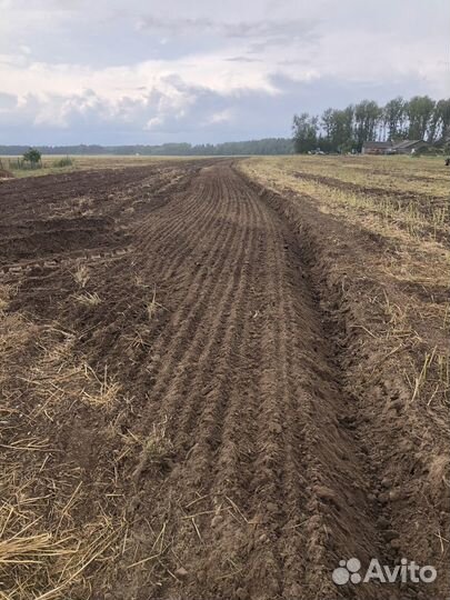 Плуг Техмаш ПО-8 (8-ми корпусный), 2023