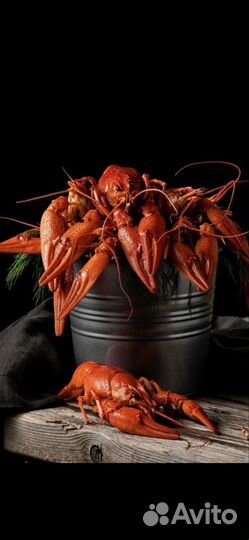 Живые раки