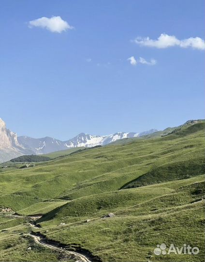 Перевозка пассажиров микроавтобусом