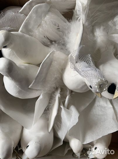 Свадебные голуби