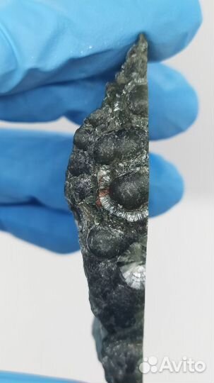 Серафинит, клинохлор