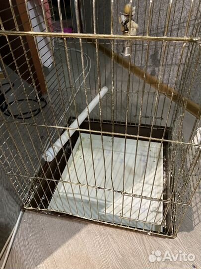 Клетка для попугая