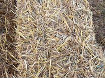 Тюки пшеничной соломы