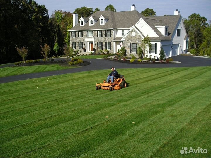 Теневыносливый рулонный газон. Укладка с гарантией