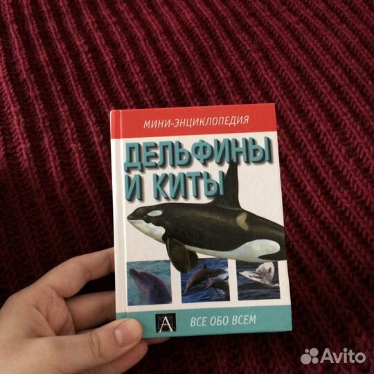 Энциклопедия дельфины и киты